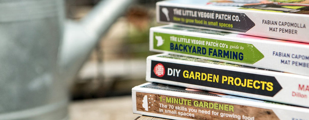 Day 3 - The Little Veggie Patch