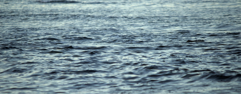 memobottle partners with Water.org